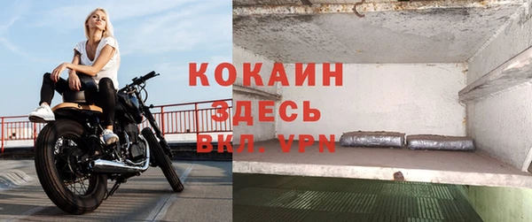 молекула духа Аркадак